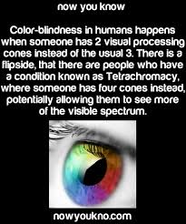 Now You Know Medical Facts Fun Facts Funny Facts