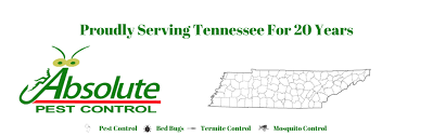Top pest control services in nashville, tn. Home Home Of Absolute Pest Control