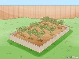 Maybe you would like to learn more about one of these? How To Prepare A New Garden Bed 12 Steps With Pictures