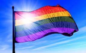 ¿que se celebra el 17 de mayo? Por Que Se Celebra El Dia Mundial Contra La Homofobia El 17 De Mayo