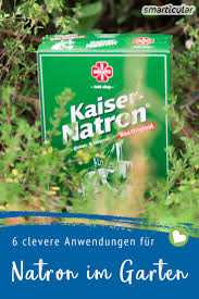 Allerdings ist dessen wirksamkeit beschränkt, vor allem in. 6 Clevere Anwendungen Fur Natron Im Garten