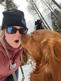 Golden retriever puppy in Grand Rapids area?