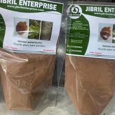 Image result for Lannea welwitschii