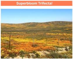 Sacramento Cactus & Succulent Society