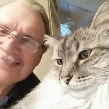 Gil Howard-Browne Art for Sale