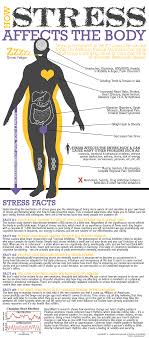 How Stress Affects The Body With Images Stress On The Body Body Health Health Fitness