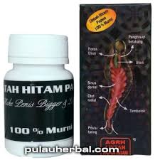 Hasil gambar untuk minyak lintah papua