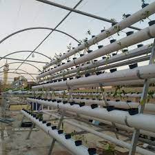 Hydroponic Roof Farm Planting Hydroponics Plant Spacing Farm