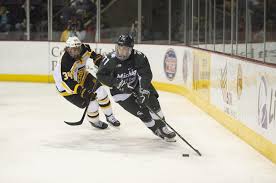 Logan Lambdin Mens Ice Hockey Michigan State University