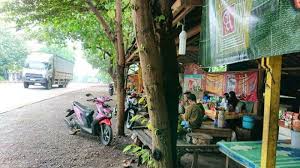 Mara hinggap mara terbang, enggang lalu ranting patah. Takut Pohon Tumbang Pedagang Di Pantura Batang Minta Pemerintah Pangkas Pohon Perdu Tribun Jateng