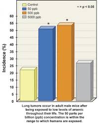 Is there any liver metastases? Low Doses Of Arsenic Cause Cancer In Male Mice Eurekalert Science News