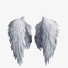 É que talvez a gente tenha a vida inteira mas o talvez é tão vazio é uma besteira eu já nem sei mais. Pin On Feathers And Wings