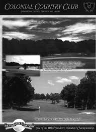 Image result for Haig Green 1929 Dodge