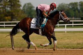 Historical images from belmont park, the challenging track where horse racing legends are made — or not. T1u9dja5ts9zwm