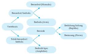 Data diagram describing the characteristics of living creature information data on the dichotomous key diagram above will be written as determination key as follows: Bagaimana Cara Mengidentifikasikan Makhluk Hidup Biologi Dictio Community