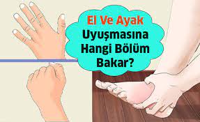 el ve ayak uyusmasina hangi bolum bakar