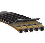 Correia em V - PREDATOR® POWERBAND® - Gates - em cloropreno ...