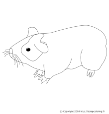 L'application de coloriage fonctionne mieux avec le navigateur libre et gratuit firefox. Coloriage Cochon Dinde 18495 Animaux Album De Coloriages