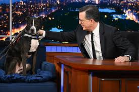 ✨ A standing ovation for Stephen Colbert and the AMAZING The Late ...