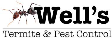 Pest control, american express accepted, discover accepted, mastercard accepted, visa accepted, fertilize lawns, lawn maintenance, lawn spraying, weed cutting, ant control, bat control, bee removal, bird control, insect control. Pest Control Company Well S Termite Pest Control Lee County Fl