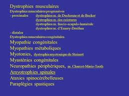 Jusqu ' alors, on leur attribuait une esp é rance de vie d ' une quinzaine d ' ann é es. Dystrophie Musculaire Unite Motrice Du Motoneurone A La Fibre Musculaire La Dystrophie Musculaire Est Une Atteinte Neuromusculaire Qui Affecte L Unite Ppt Telecharger