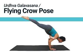 Flying Crow Crow Pose Asana Pigeon Pose