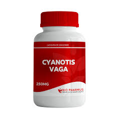 Image result for Cyanotis vaga