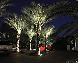 Mediterranean Exterior Design Pictures Remodel Decor And Ideas Page 70 Palm Trees Landscaping Palm Tree Lights Tree Uplighting