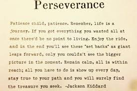 Perseverance Quote Great One For The Kids Perseverance Quotes Perfection Quotes Perseverance