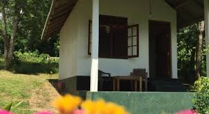 The lake forest, ca housing market is somewhat competitive, scoring 67 out of 100. Eco Forest Cottage Prices Photos Reviews Address Sri Lanka