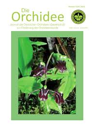 Image result for Liparis odontochilos