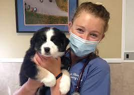 Comprehensive list of maine based veterinary clinics and animal hospitals offering don't wait until your pet is ill to see a vet. At Home Veterinary Care West Gardiner Veterinarians