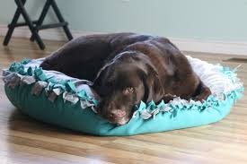 Using a soft upholstery fabric would make a dog bed durable and easy to clean. How To Make A Diy No Sew Dog Bed A Fresh Squeezed Life