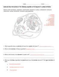 We did not find results for: Cellworksheetkey