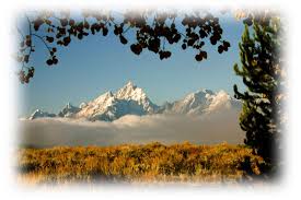 Te întreaba si socoate ce e rau si ce e bine; Romanian Ronnie S Blog