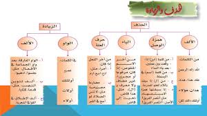 الحذف والزيادة الكفاية الإملائية كفايات لغوية 3 Youtube