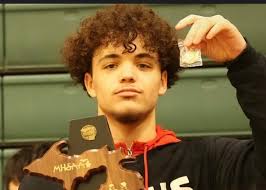 Meet the Holland Sentinel All-Area Wrestling Team, boys and girls