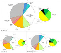 Image result for Crotalaria longithyrsa
