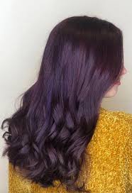 I have dark brown hair and want to dye it a dark purple and some people. Your Plum Hair Color Guide 57 Posh Plum Hair Color Ideas Dye Tips