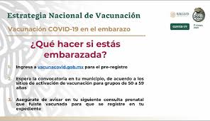 El nuevo estudio se basa en informes de embarazadas que recibieron las vacunas. 3f86tjixfd8jem