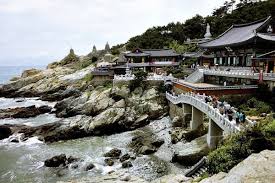 Minuman unik yang bisa anda coba. 7 Lokasi Di Busan Korea Selatan Yang Wajib Masuk Bucket List Mu