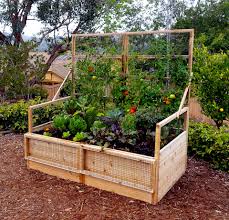 Everything garden and gardening related. Backyard Garden Ideas What To Plant In Your Backyard Garden