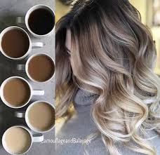 I Don T Like The Idea Of Coloring My Hair I Will Most Likely Just Let It Go Grey But If I Ever Did Th Fall Hair Trends Hair Trends 2018 Long