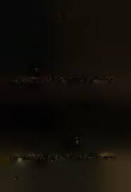 Image result for Acacia tenuispina