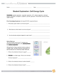 Pdf Student Exploration Cell Energy Cycle Xavier Hooper Academia Edu