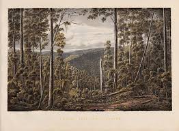 Eugene Von Guerard S Australian Landscapes Landscape Colonial Art Landscape Elements