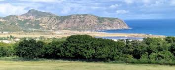 Image result for Staudtia