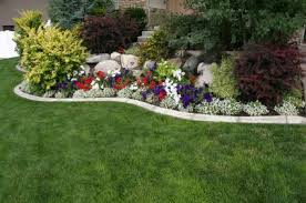 I Like The White Flowers Contrasting With The Red And Blue Diy Landscaping Front Yard Landscaping Yard Landscaping