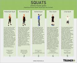 Want a bigger, stronger back? Exercise Charts Trainer Plus