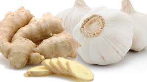 GINGER GARLIC - Indian Restaurant in bridgewater
